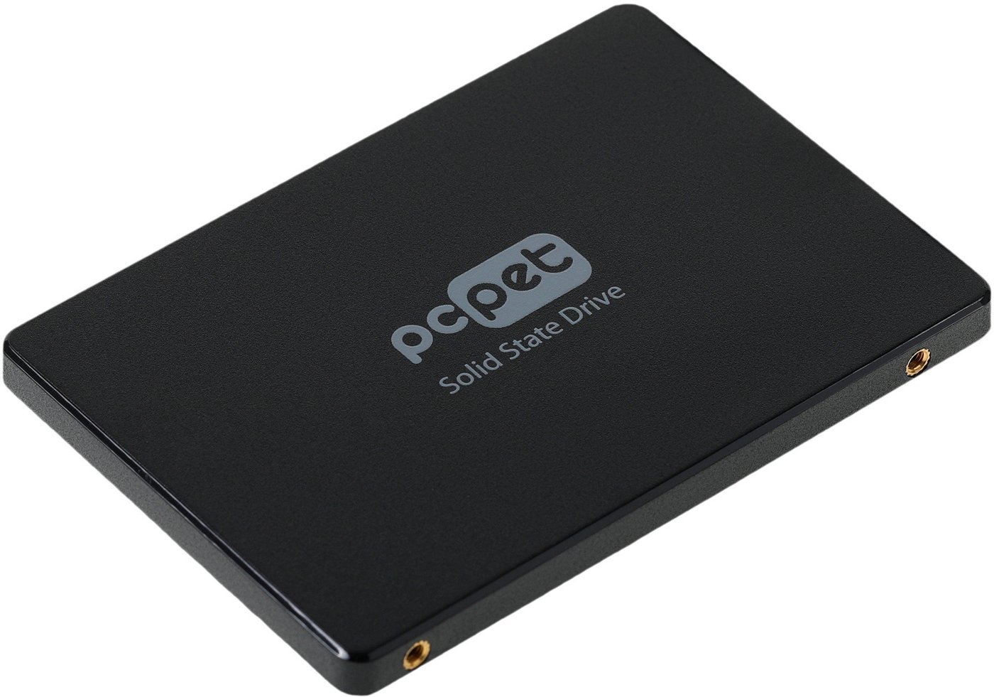 SSD PC Pet 4TB PCPS004T2