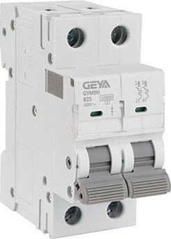 Выключатель автоматический GEYA GYM9H-2P-25B 2P 25A B 10kA 2M GYM9H2P25B
