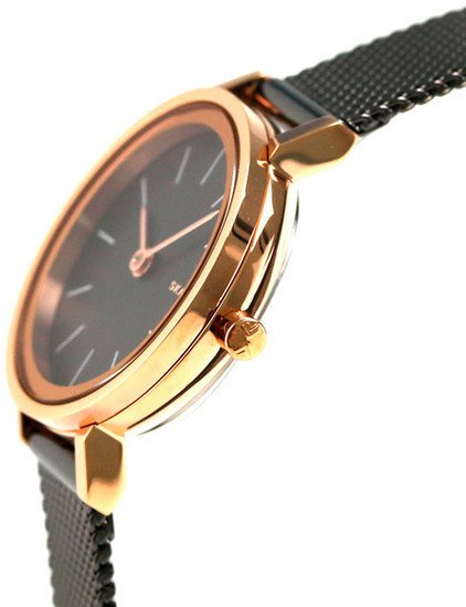 Наручные часы Skagen SKW2492