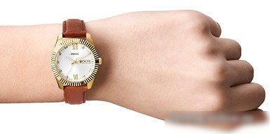 Наручные часы Fossil Scarlette ES5184