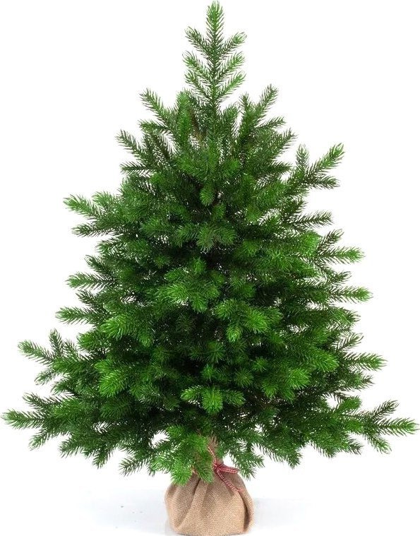 Ель National Tree Company Грация Премиум ГР/ПР-90 90 см