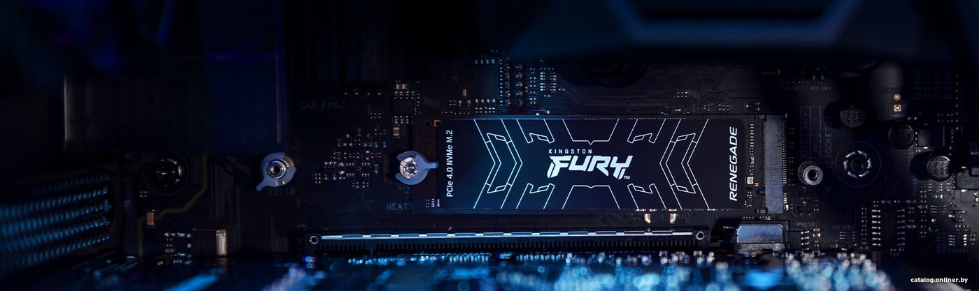 SSD Kingston Fury Renegade 1TB SFYRS/1000G