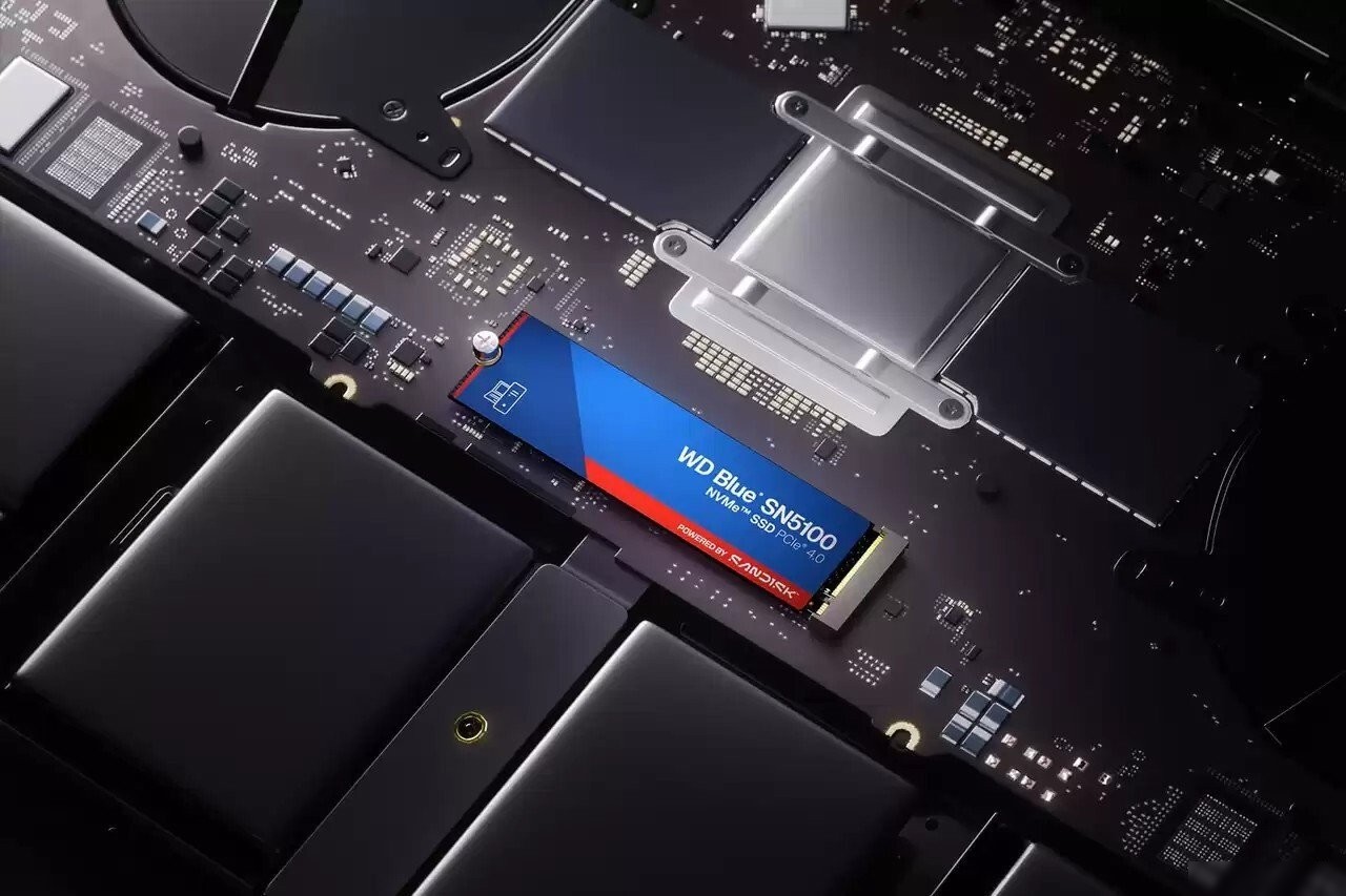 SSD WD Blue SN5100 2TB WDS200T5B0E