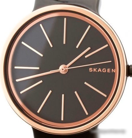 Наручные часы Skagen SKW2490