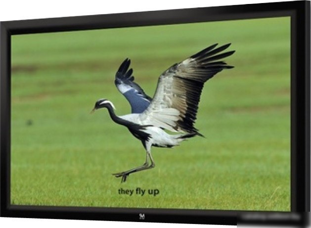 Проекционный экран Seemax Highland 16:9 305x229 Проекционный экран Seemax Highland 16:9 305x229
