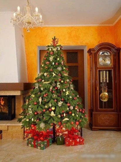 Ель National Tree Company Эверест ЭВ-210 (210 см)