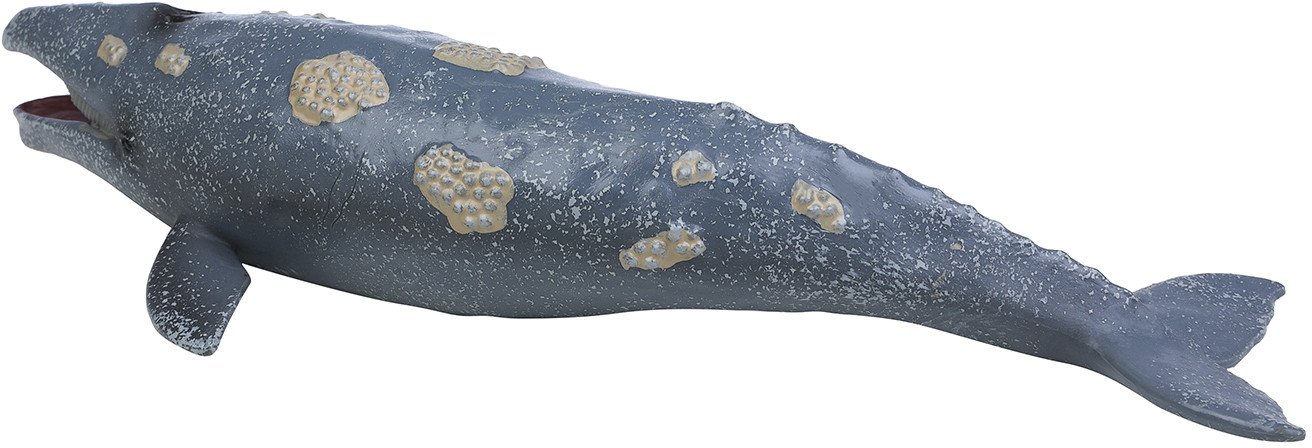Фигурка Masai Mara Мир морских животных. Серый кит MM213-302