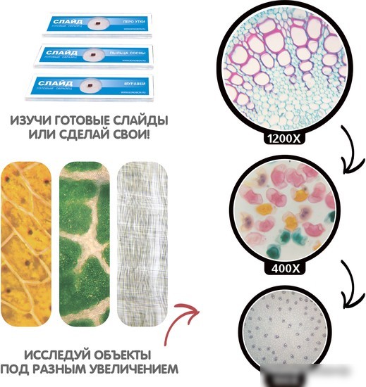 Детский микроскоп Bondibon 100-1200X для 2D и 3D объектов с поворотным окуляром ВВ5287