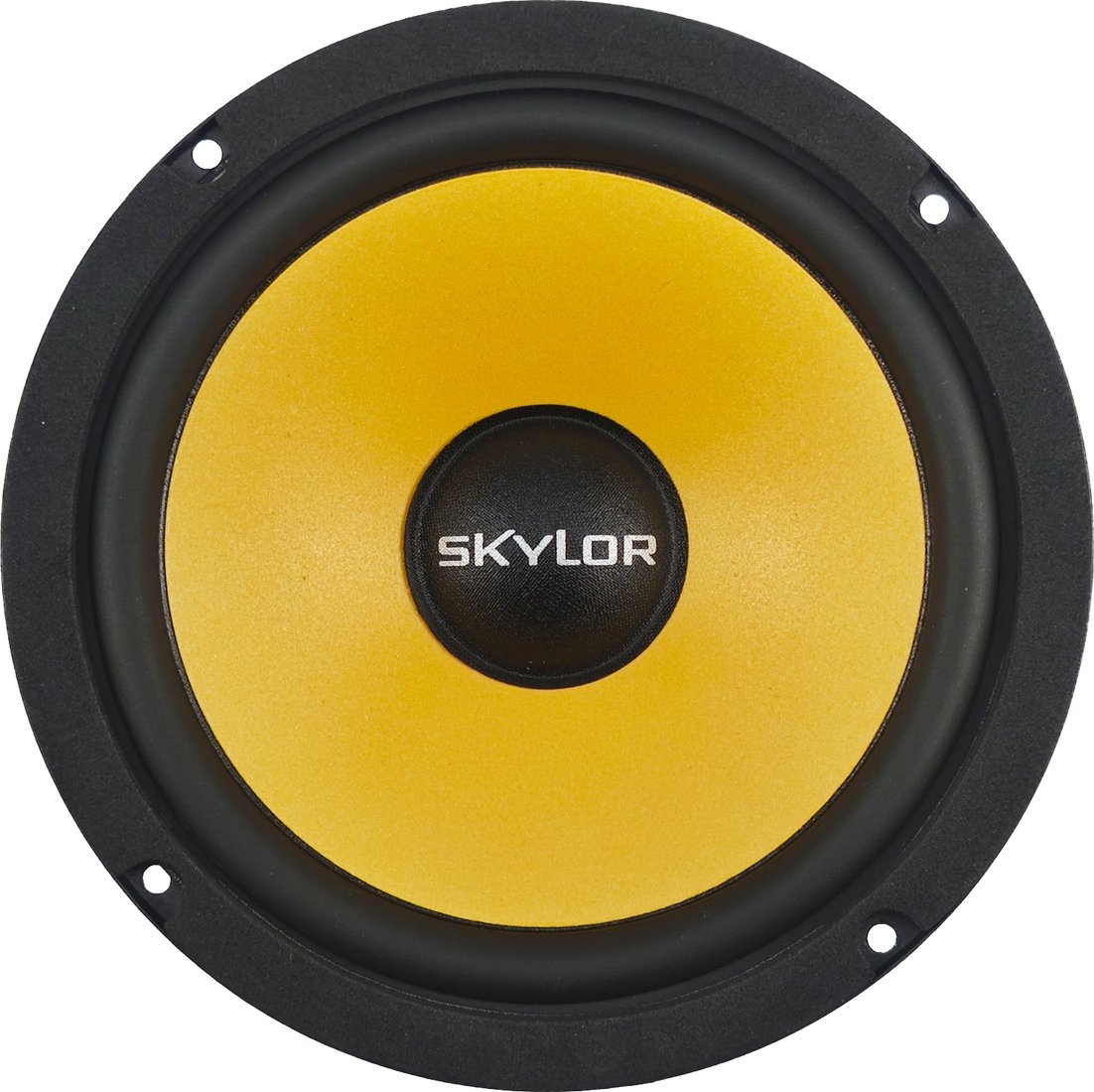 Компонентная АС Skylor E6C