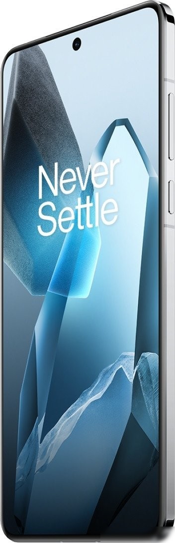 Телефон OnePlus 13 12GB/256GB международная версия (синий)