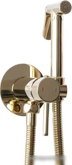 Гигиенический душ Rea Loop REA-B8979 (золотой)