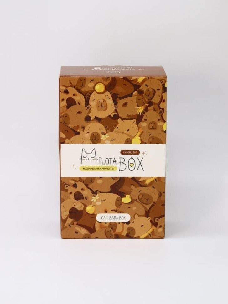 Подарочный набор Milota Box Capybara Box Mini MBS031