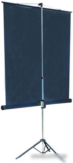 Проекционный экран Lumien Master View 165x220 LMV-100113