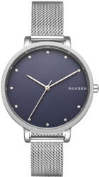 Наручные часы Skagen SKW2582