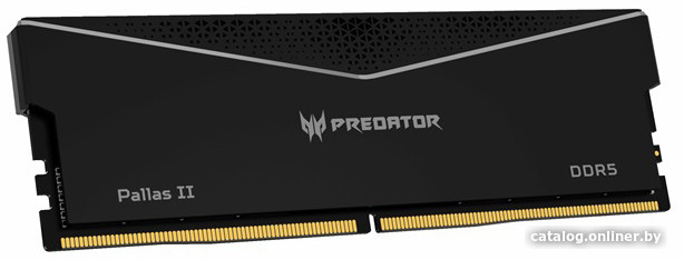 Оперативная память Acer Predator Pallas II 2x32ГБ DDR5 6000 МГц BL.9BWWR.437
