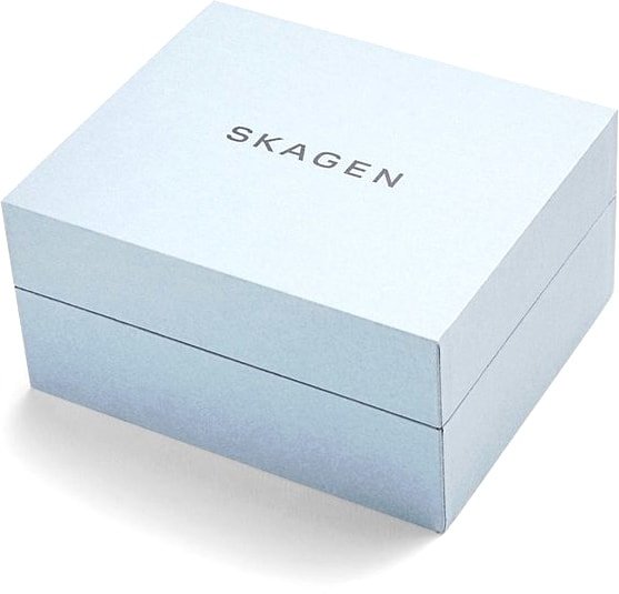 Наручные часы Skagen SKW1102