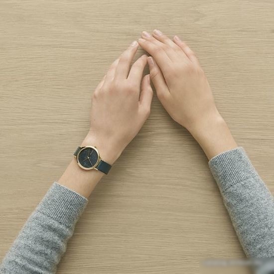 Наручные часы Skagen SKW2720