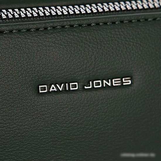 Женская сумка David Jones 823-6823-1-PCB (зеленый)