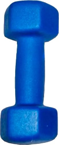 Гантель ZEZ Sport Виниловая 1kg-N-С