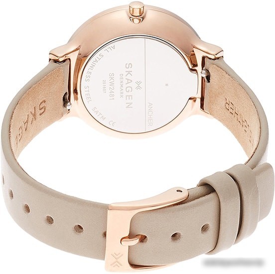 Наручные часы Skagen SKW2481