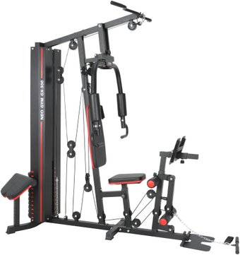Силовой комплекс Alpin Neo Gym GX-300