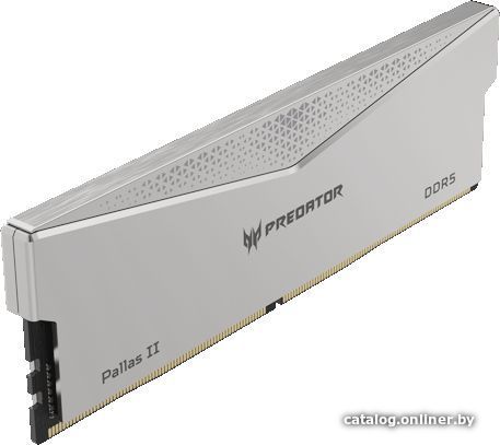 Оперативная память Acer Predator Pallas II 2x32ГБ DDR5 6000 МГц BL.9BWWR.352