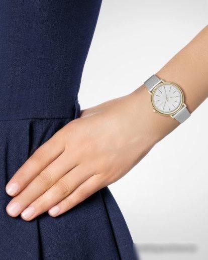 Наручные часы Skagen SKW2508