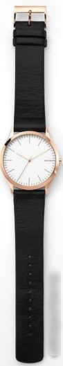 Наручные часы Skagen SKW1102