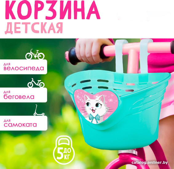 Корзина Dream Bike Bike Мяу 9342692
