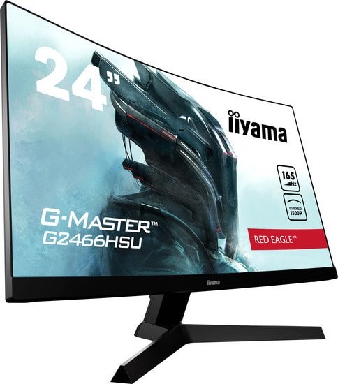 Монитор Iiyama G-Master G2466HSU-B1