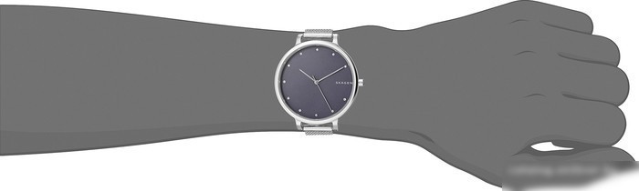 Наручные часы Skagen SKW2582