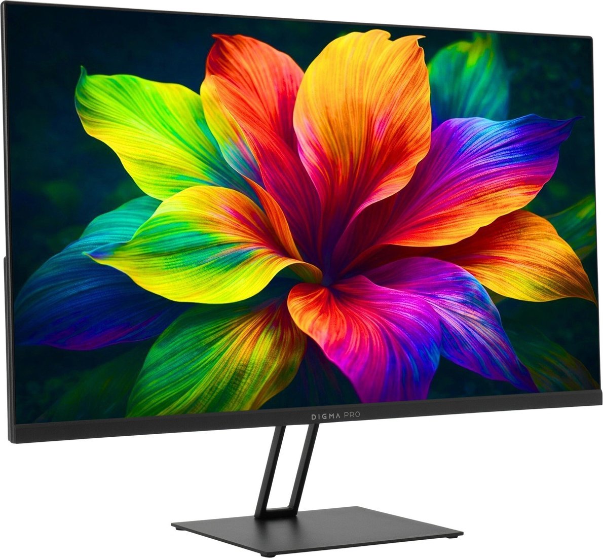 Монитор Digma Pro Motion S TM24SB01