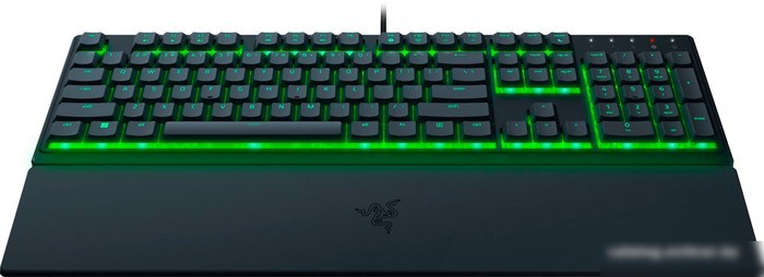 Клавиатура Razer Ornata V3 X
