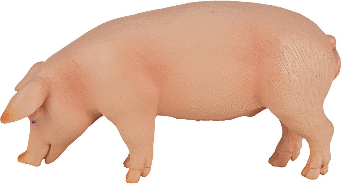 Фигурка Konik Свинья Самец AMF1029