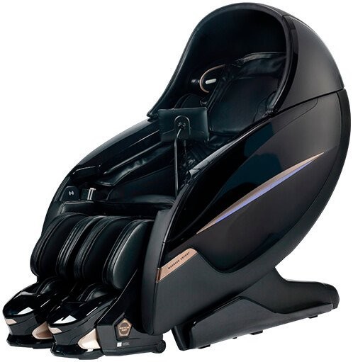 Массажное кресло Richter Expert Robot (black)