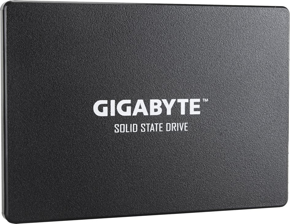 SSD Gigabyte 256GB GP-GSTFS31256GTND