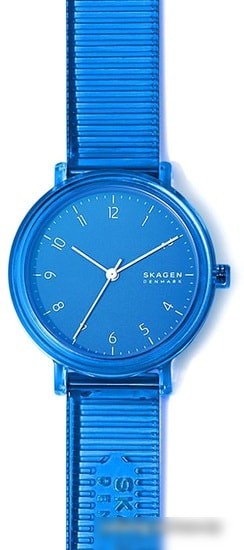Наручные часы Skagen SKW2855