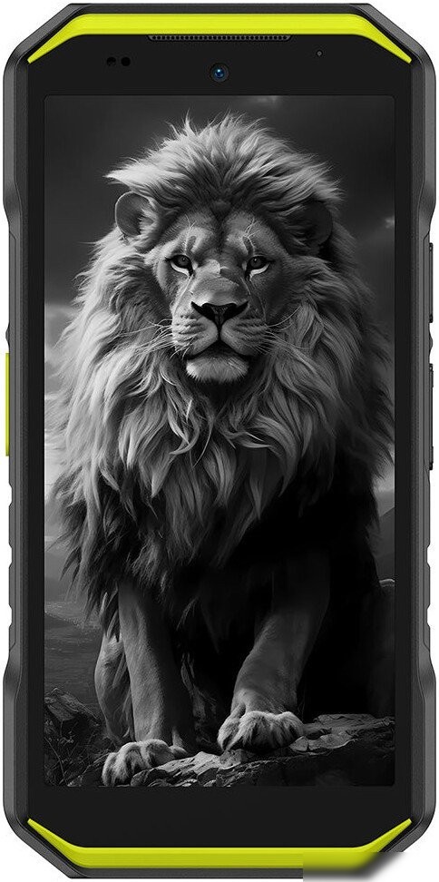 Телефон Ulefone Armor X32 Pro 8GB/256GB (черный/зеленый)