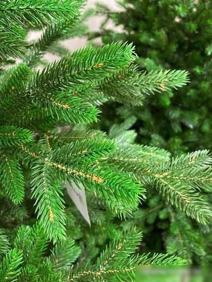 Ель GreenTerra Хаген Премиум 2.4 м