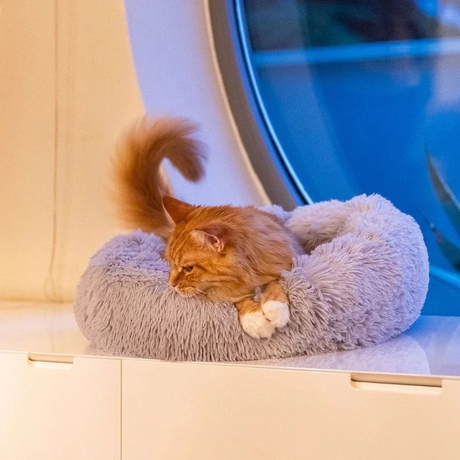 Лежак Ferplast Cuddly 80 83190821 (серый)
