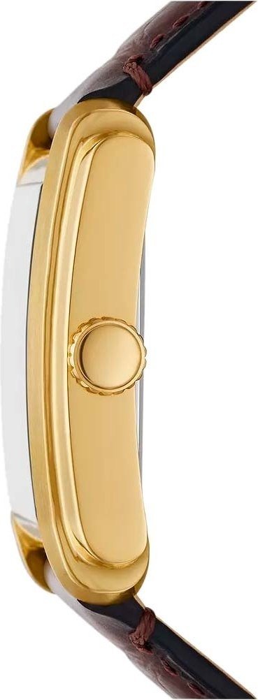 Наручные часы Fossil FS6011