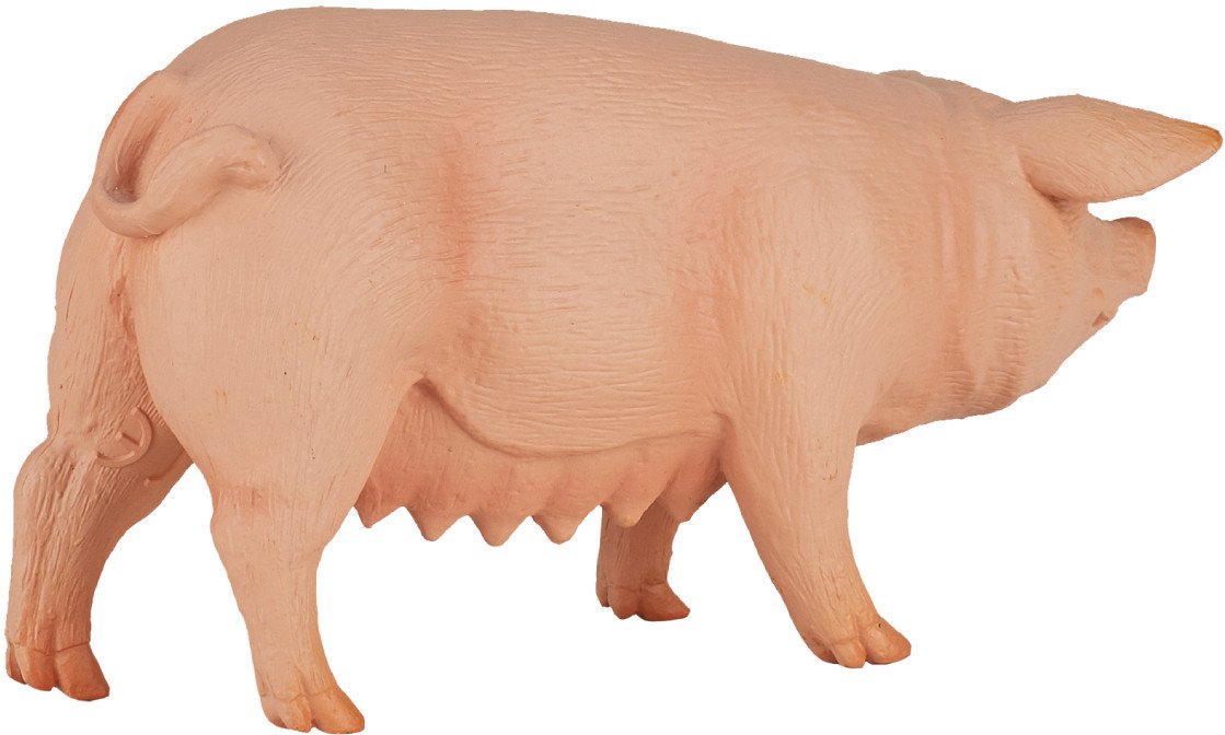 Фигурка Konik Свинья Самка AMF1016