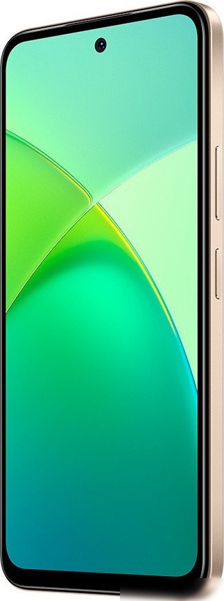 Телефон Infinix Smart 10 X6725D 3GB/64GB (золотистый)
