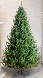 Ель GreenTerra Элоди 1.8 м
