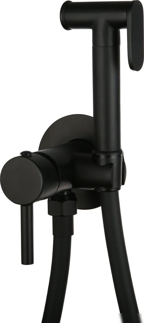 Гигиенический душ Roxen Santi 500940-B