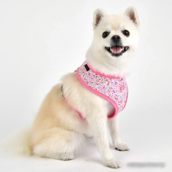 Шлейка Puppia Wildflower PAUA-HA1826-PK-XL (розовый)