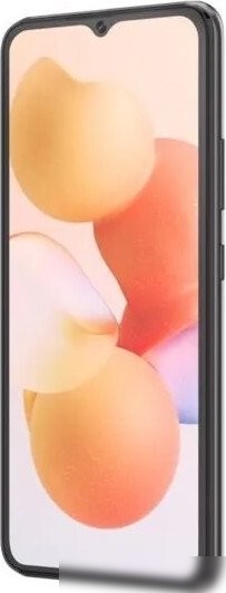 Телефон Cubot A10 4GB/128GB (черный)