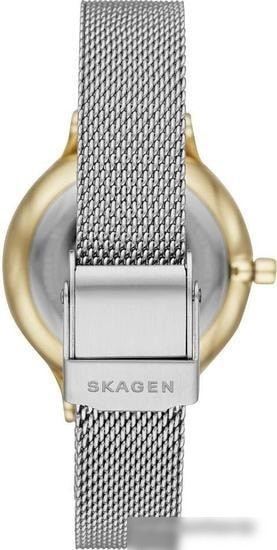 Наручные часы Skagen SKW2866