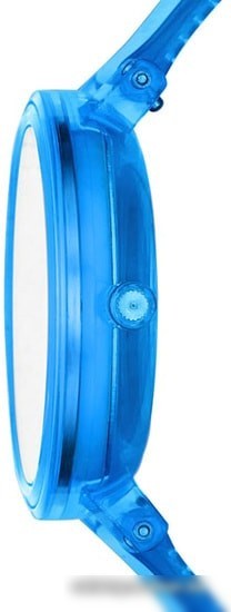 Наручные часы Skagen SKW2855