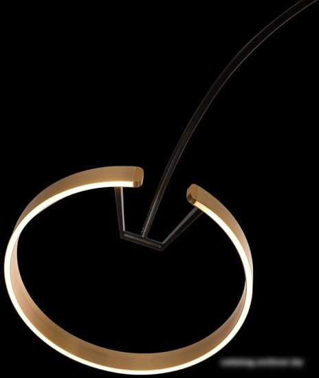 Торшер LOFT IT Ring 10027